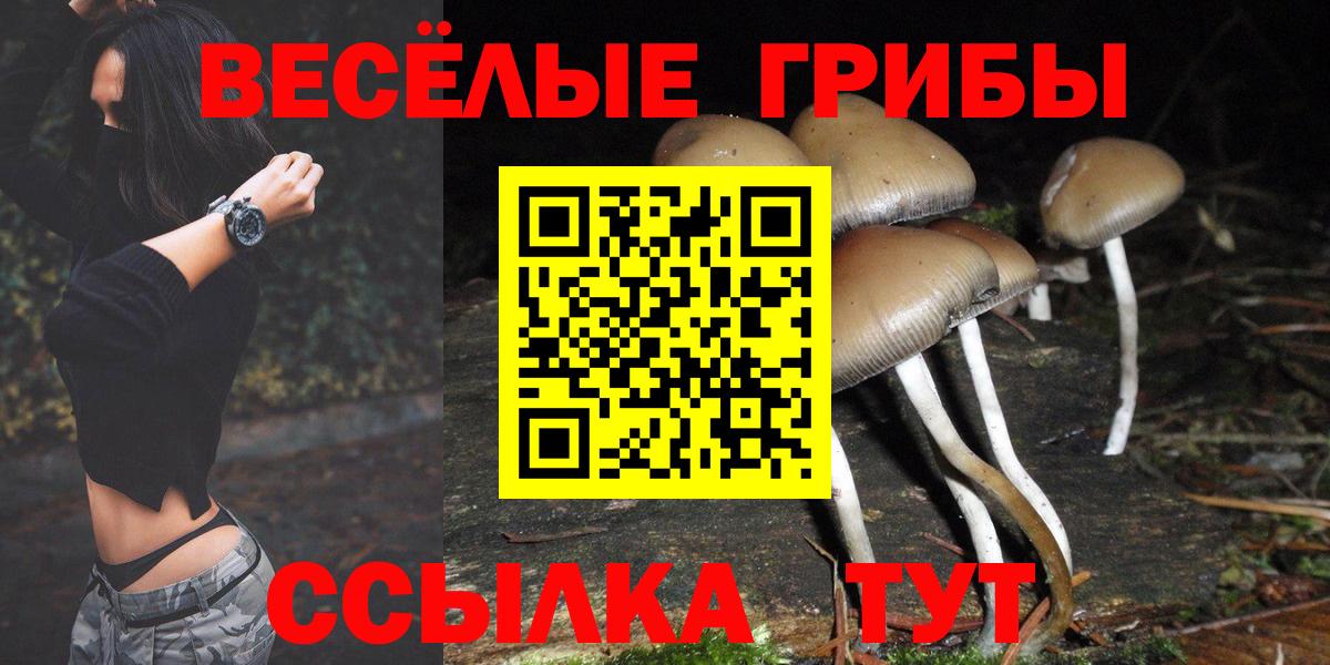 Псилоцибиновые грибы Cubensis Домодедово