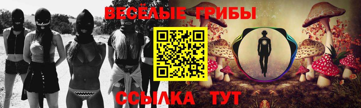 Домодедово  Псилоцибиновые грибы Psilocybine cubensis  Вход с VPN 